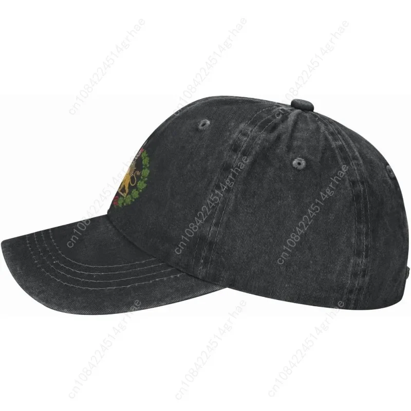 Persian Flag Iranian Lion Sun  - Golf Cap Dad 评论和价格